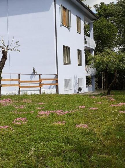 Grappaland Apartment Crespano del Grappa Luaran gambar